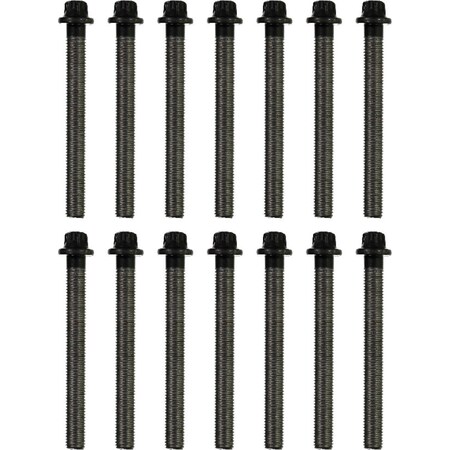 Reinz Cylinder Head Bolt Kit, 143231201 143231201